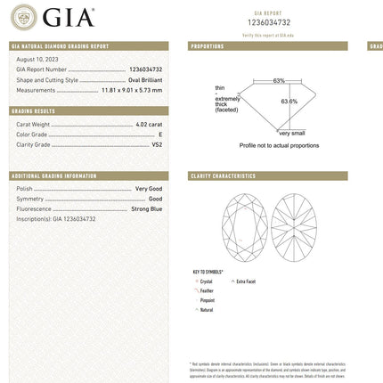 GIA Cert. 4.02 Carat E Color VS2 Clarity Oval Cut Loose Natural Diamond