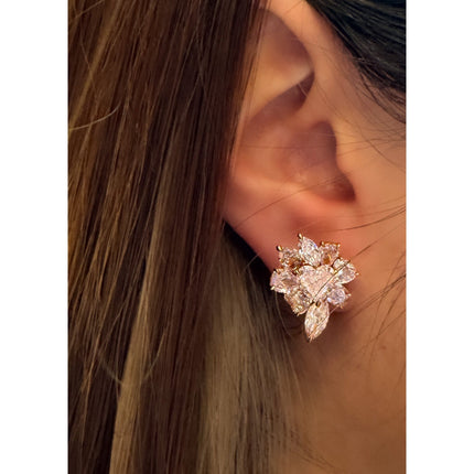 10.78 Carat Fancy Pink Diamond Heart Oval Marquise Cluster Stud Earrings-Time and Carat