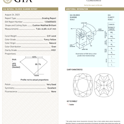 4.03ctw Fancy Yellow Cushion Diamond Stud Earrings | GIA