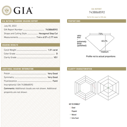 3.19ctw Hexagonal Step Cut Diamond Twin Ring Platinum 18K | GIA