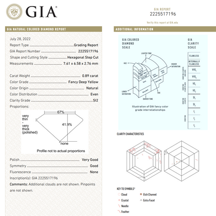 3.19ctw Hexagonal Step Cut Diamond Twin Ring Platinum 18K | GIA