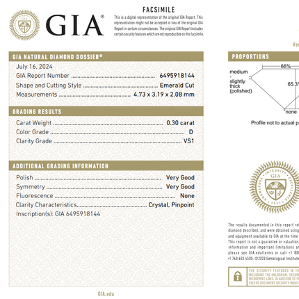 3.19ctw Hexagonal Step Cut Diamond Twin Ring Platinum 18K | GIA