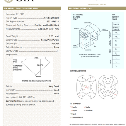 3.92ctw Fancy Diamond Cushion Toi et Moi Platinum Ring | GIA
