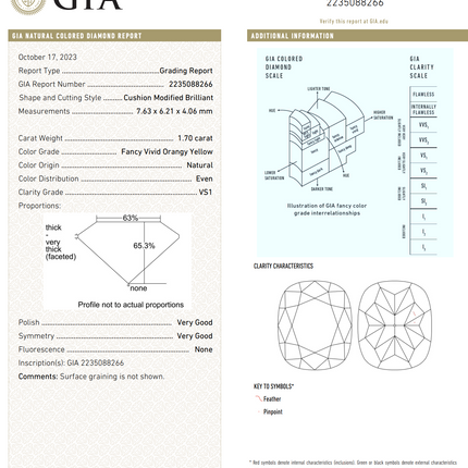 3.92ctw Fancy Diamond Cushion Toi et Moi Platinum Ring | GIA